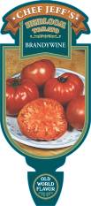 Tomato Brandywine