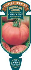 Tomato Caspian Pink