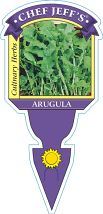 Arugula