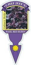Basil Red Rubin