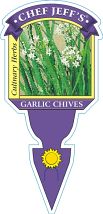 Chives Garlic