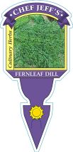 Dill Fernleaf