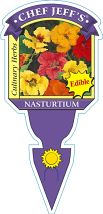 Nasturtium