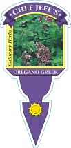 Oregano Greek