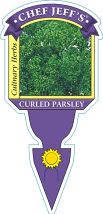 Parsley Triple Curled