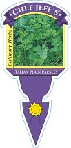 Parsley Italian 