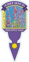 Sage Pineapple