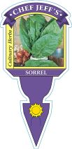 Sorrel