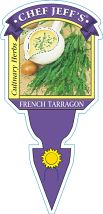 Tarragon French