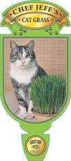 Cat Grass