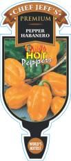 Pepper Habanero