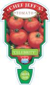 Tomato Celebrity