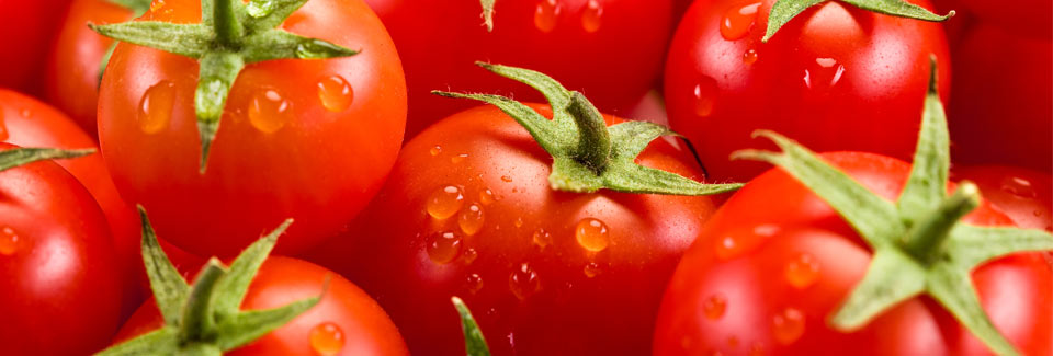tomatoes_background