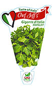 Gigante d’Italia Parsley