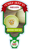 Honeydew Melon Snow Mass