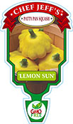 Patty Pan Squash Lemon Sun